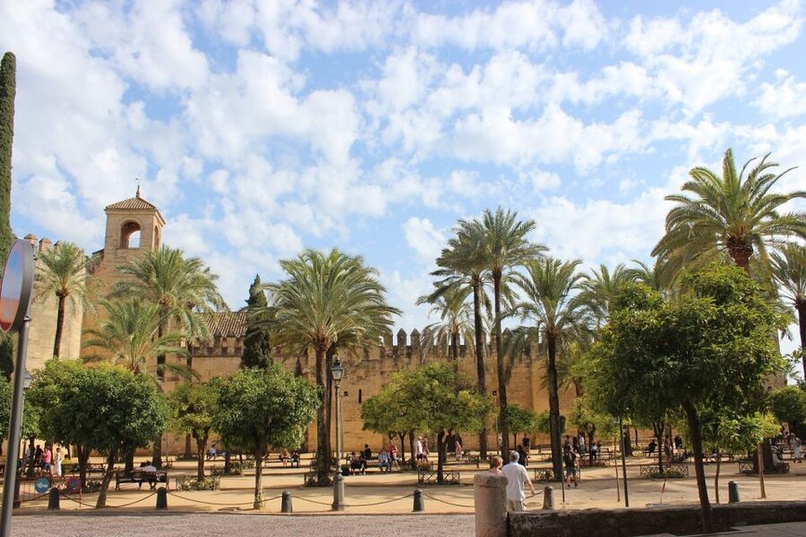 From Malaga and Costa Del Sol: Cordoba Day Trip - Patios, local food, and choosing your lunch