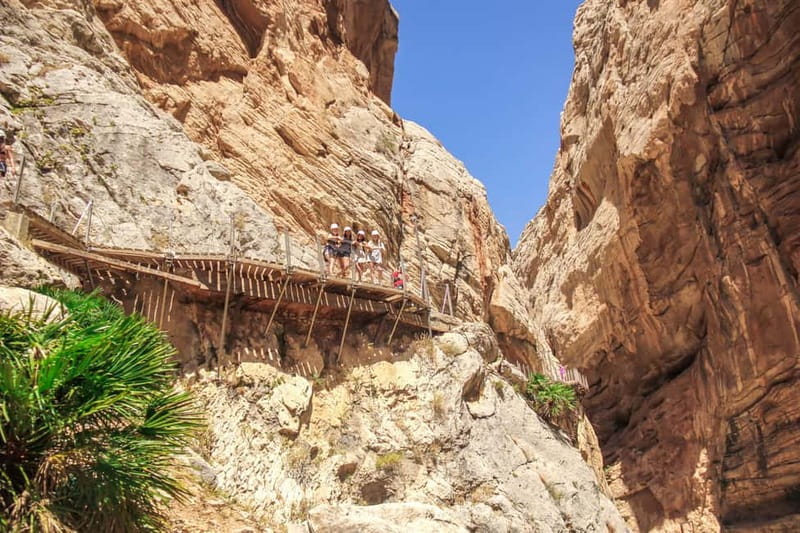From Málaga: Caminito del Rey Day Trip & Guided Tour - Meeting in central Málaga