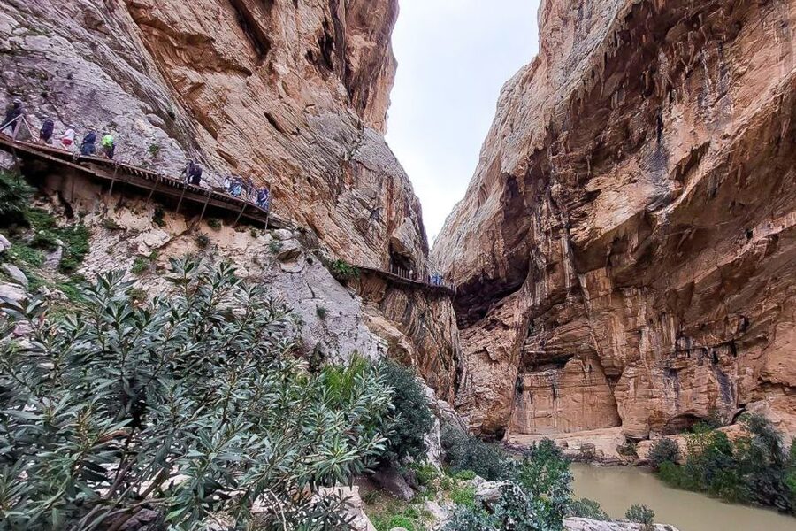 From Málaga: Caminito del Rey Guided Day Trip - Why the Caminito del Rey is worth your day
