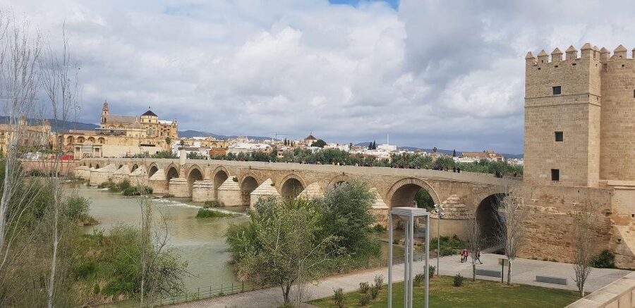 From Malaga: Cordoba Day Trip and Mosque-Cathedral - Three hours to make Córdoba your own