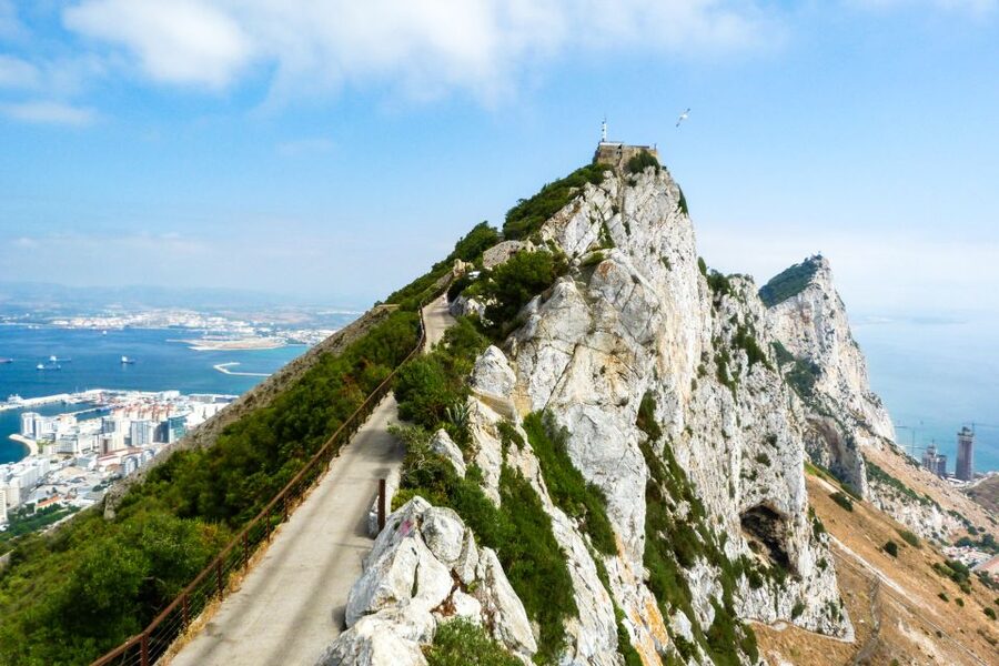 From Malaga: Day trip to Gibraltar and Dolphin Boat Tour - The 90-minute dolphin cruise