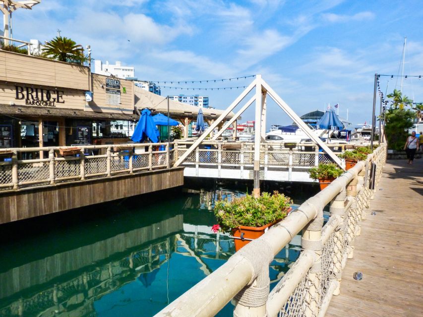 From Malaga: Day trip to Gibraltar and Dolphin Boat Tour - Guide quality and group organization