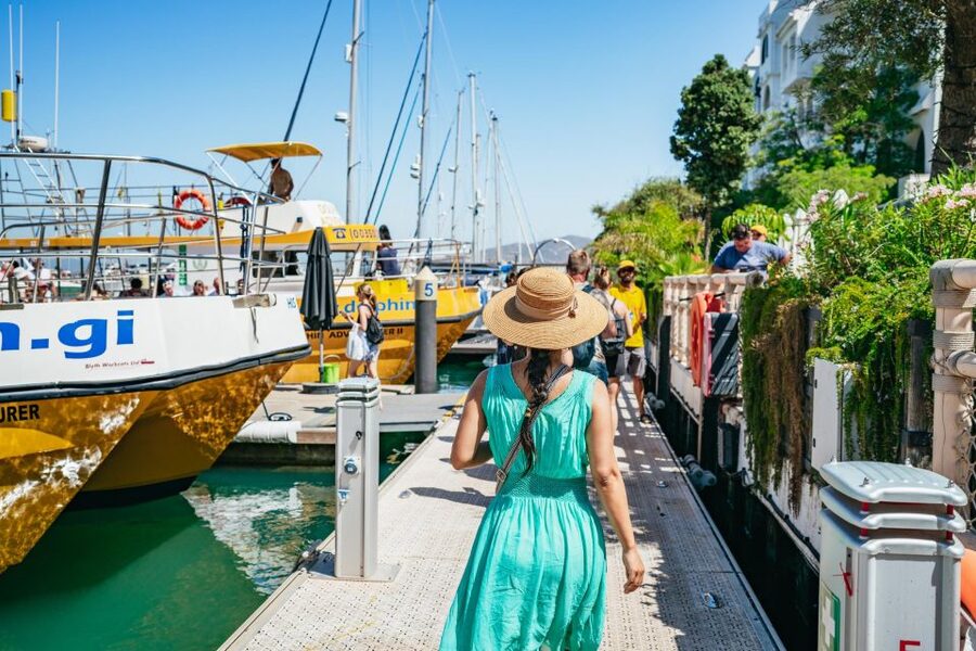 From Malaga: Day trip to Gibraltar and Dolphin Boat Tour - Is $73 good value?