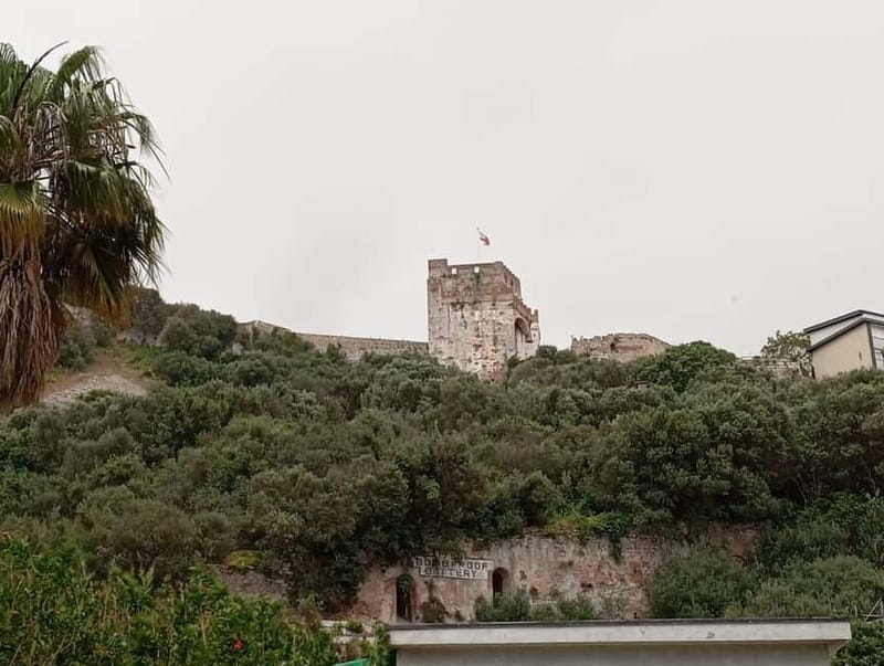 From Málaga: Gibraltar Day Trip - What the $34 price really includes