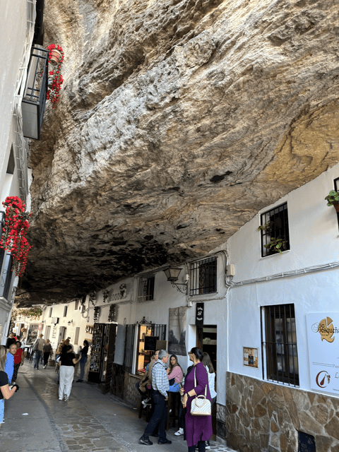 From Malaga: Ronda and Setenil de las Bodegas Day Trip - The bullring and old town options