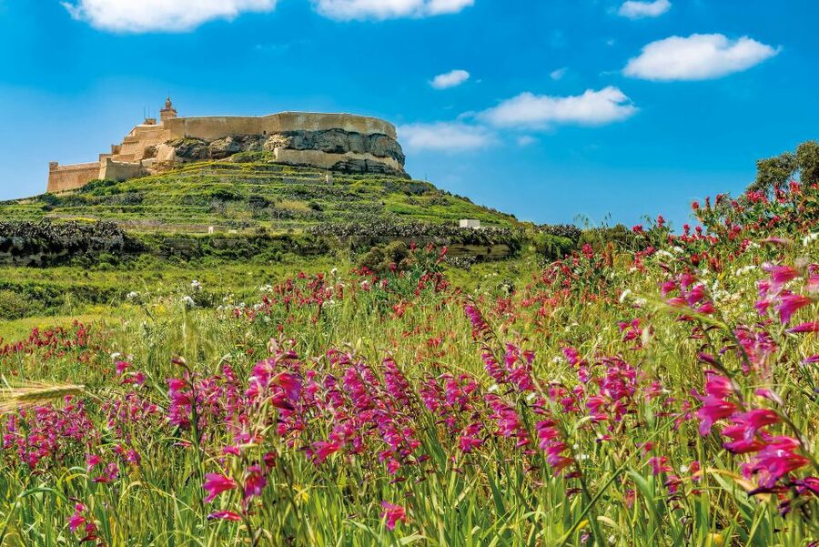 From Malta: Gozo Day Trip Including Ggantija Temples - Xlendi Bay brings a seaside pause