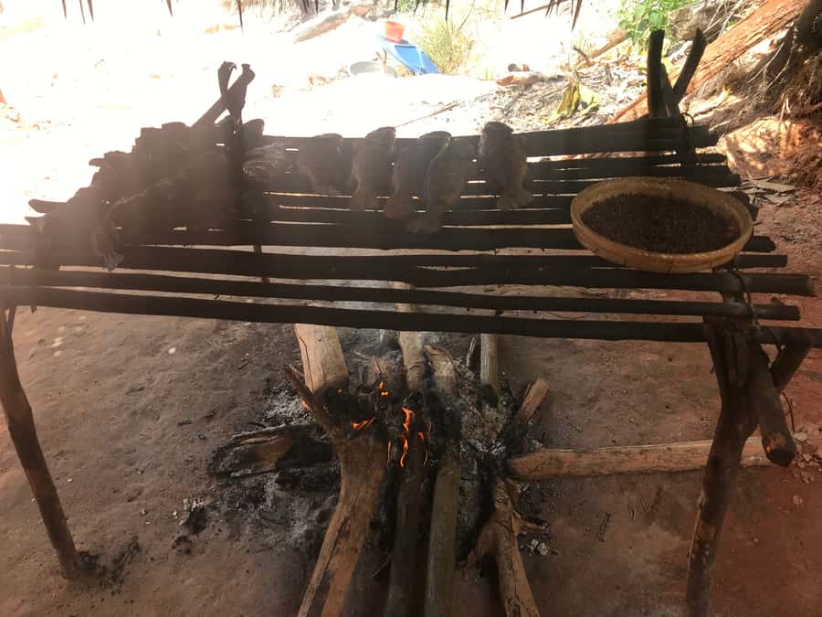 From Manaus: Negro River Half-Day Trip - What the small group means on the boat