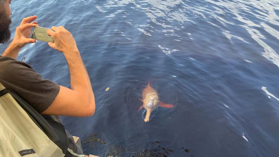 From Manaus: Negro River Half-Day Trip - Who should take this half-day outing?