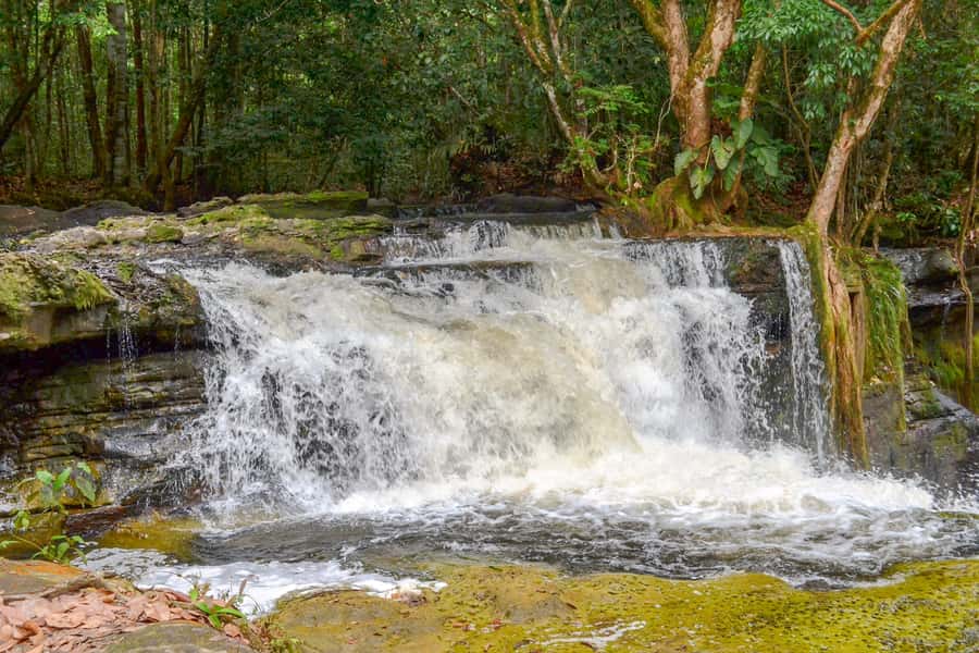 From Manaus: Presidente Figueiredo Waterfalls Daytrip - What the guides add to the day