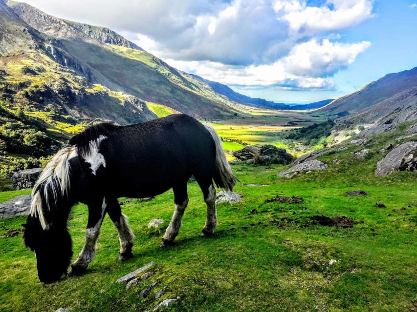 From Manchester: North Wales Sightseeing Adventure Day Trip - Why the driver-guide can make or break the day