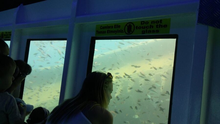 From Marmaris: Day Trip by Glass Bottom Semi Submarine - Kadirga Bay and Green Sea Bay