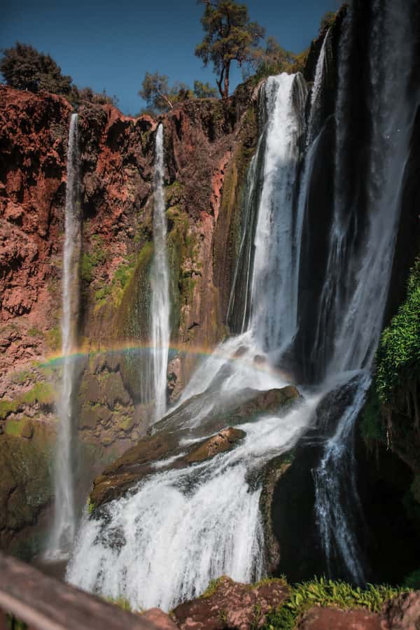 From Marrakech: A day Trip to Ouzoud waterfalls - Ouzoud Waterfalls day trip: key points