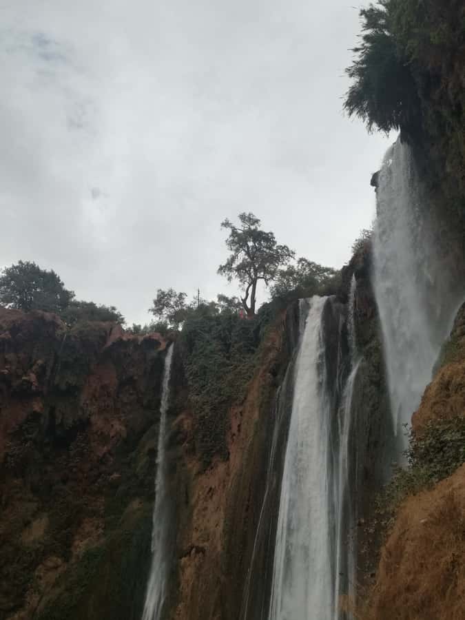 From Marrakech: A day Trip to Ouzoud waterfalls - Who will enjoy this day most?