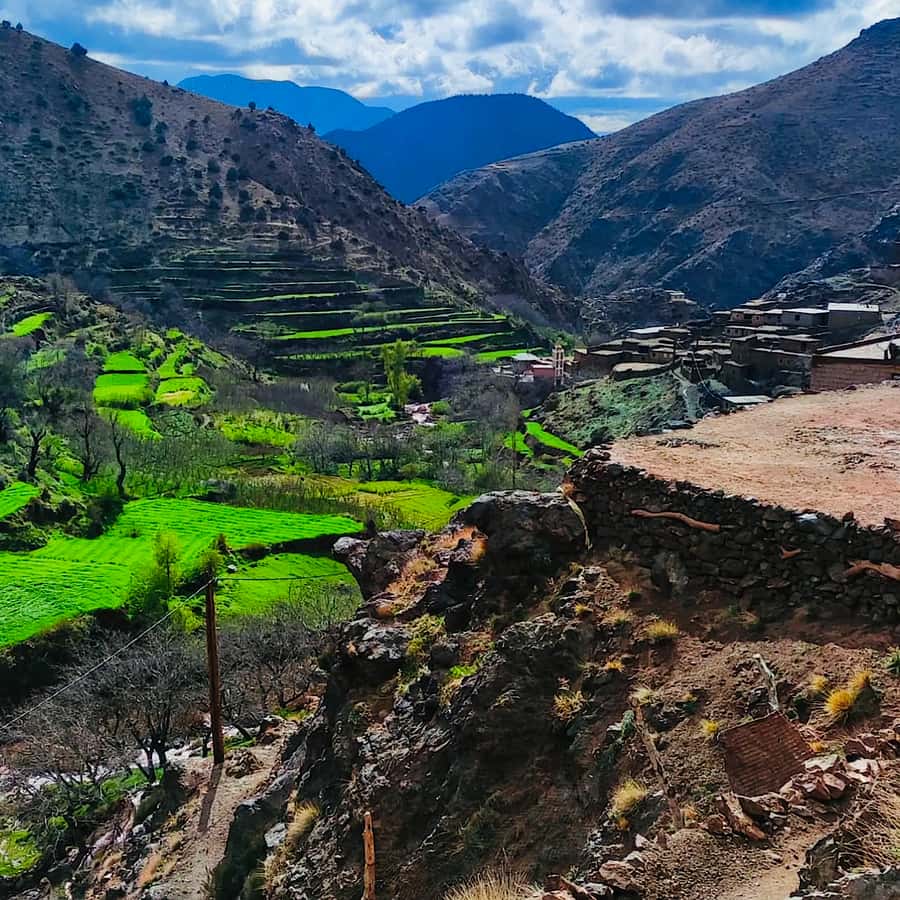 From Marrakech: Atlas Mountains and Berber Village Day Trip - Key points before you book