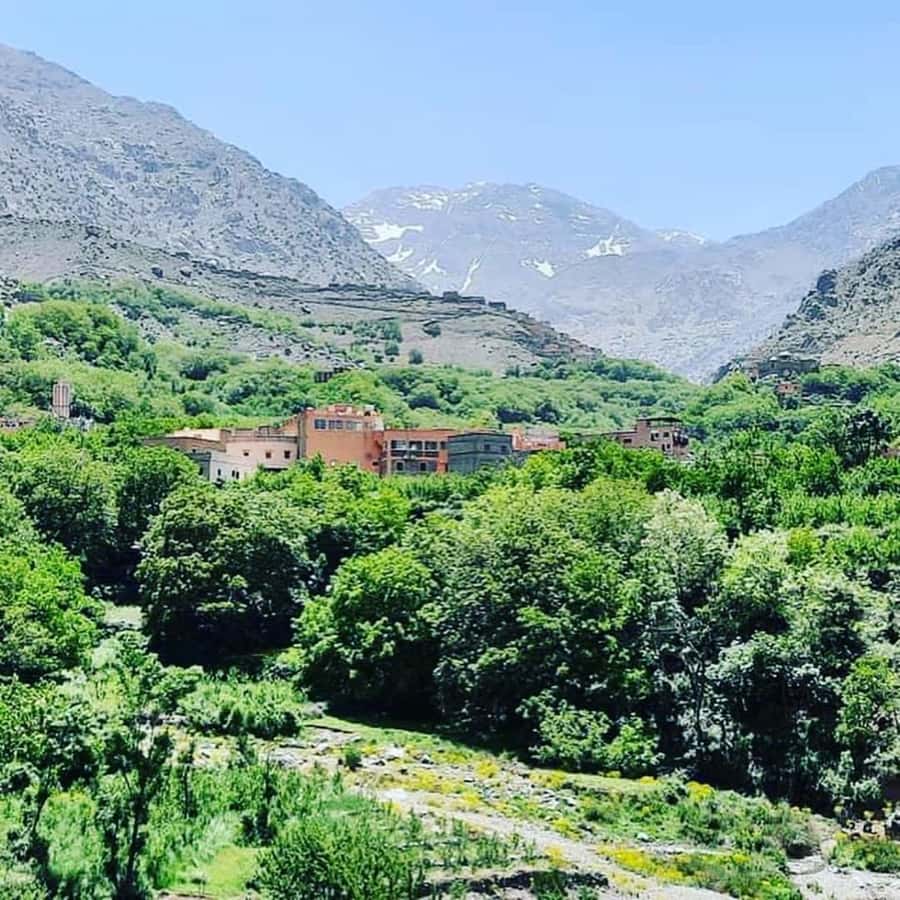 From Marrakech: Atlas Mountains and Berber Village Day Trip - Transport, timing, and comfort