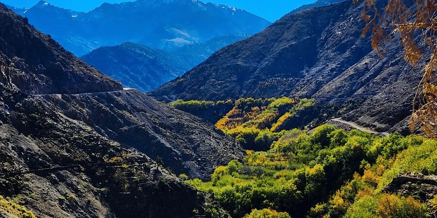 From Marrakech: Atlas Mountains Day Trip with Camel Ride - Who will enjoy this trip most?
