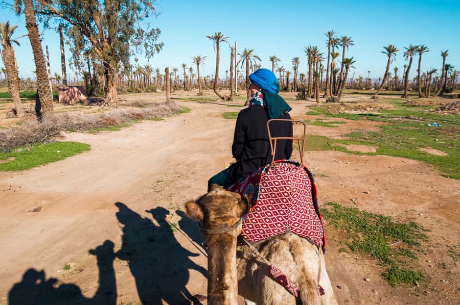 From Marrakech: Camel Ride, Quad Bike & Spa Full-Day Trip - Tea, Berber village life, and a local family visit