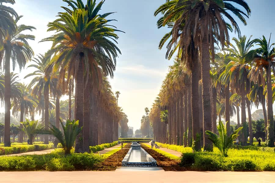From Marrakech: Casablanca Day Trip by van - Guide quality and the human side of the trip