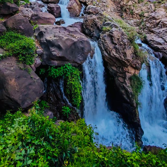 From Marrakech: Day Trip to Anima Garden and Imlil Valley - The argan cooperative on the return drive