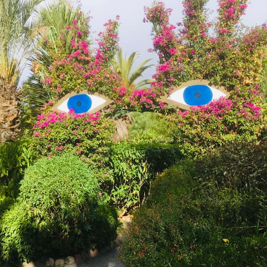 From Marrakech: Day Trip to Anima Garden and Imlil Valley - Guides, drivers, and the small-group difference