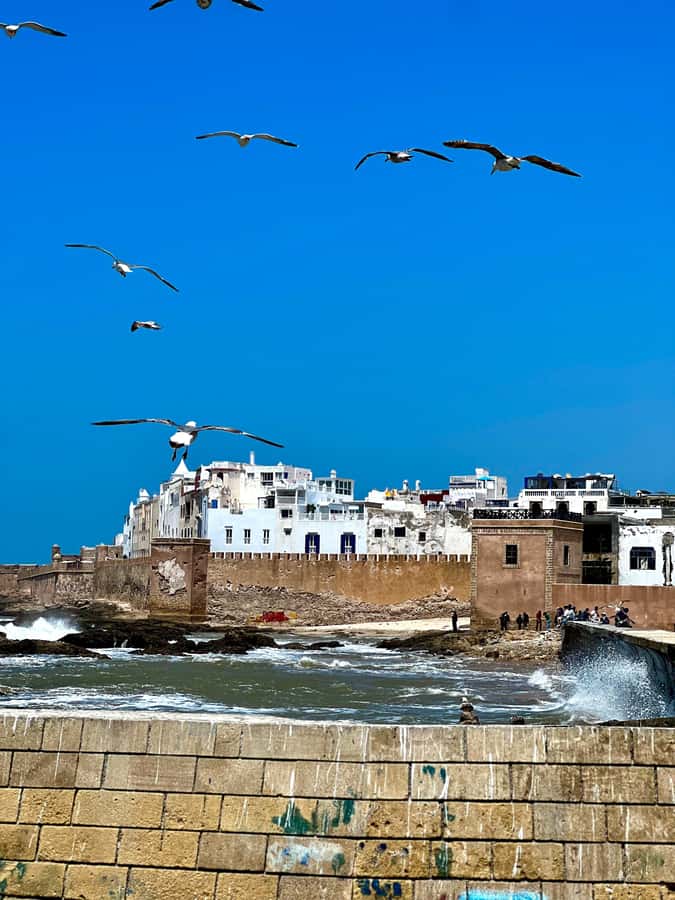 From Marrakech: Day Trip to Essaouira with Transfers - Why Essaouira works as a Marrakech break