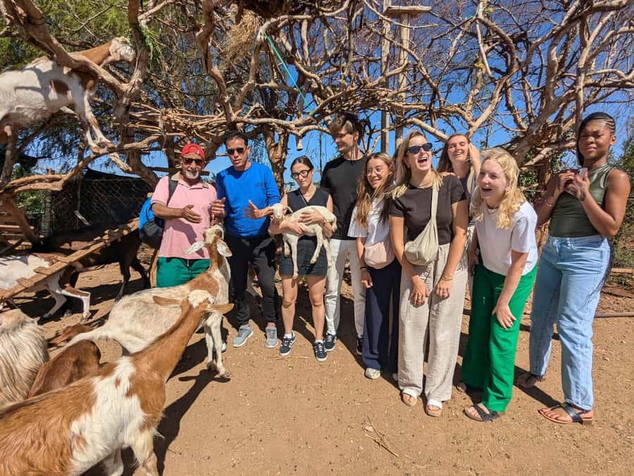 From Marrakech: Day Trip to Essaouira with Transfers - Arriving above Essaouira