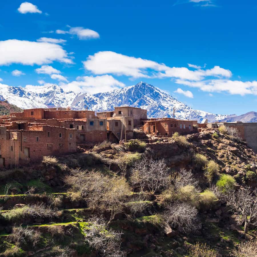 From Marrakech: Day Trip to Ourika Valley with Waterfalls - Guides, pace, and the human side of the day