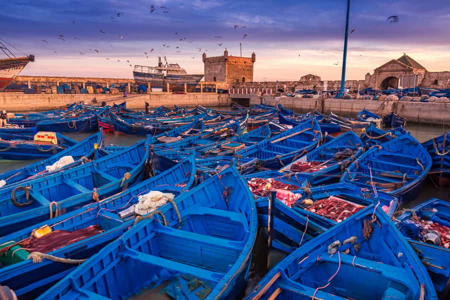 From Marrakech: Essaouira & Atlantic Coast Full-Day Trip - How much time do you get in Essaouira?