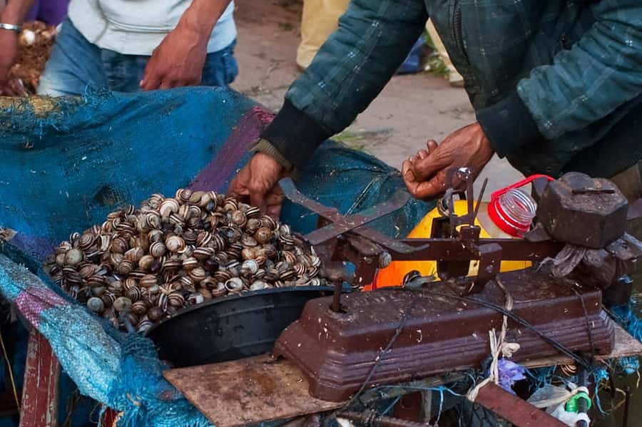 From Marrakech: Essaouira & Atlantic Coast Full-Day Trip - Is $27 good value?