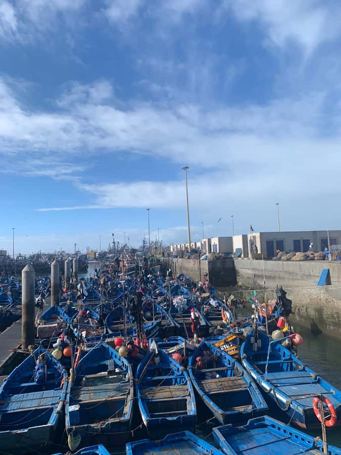 From Marrakech: Essaouira Coastal City Day Trip - Why Essaouira makes a good escape from Marrakech