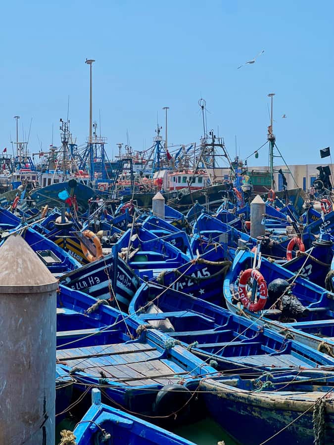 From Marrakech: Essaouira Coastal City Day Trip - The women’s argan oil cooperative