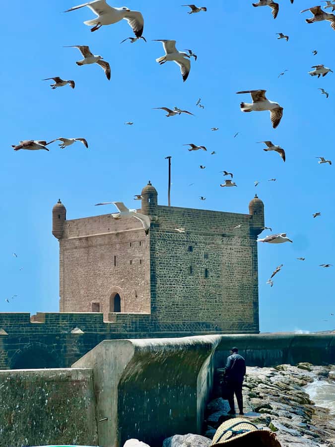 From Marrakech: Essaouira Coastal City Day Trip - Four hours to find your own Essaouira