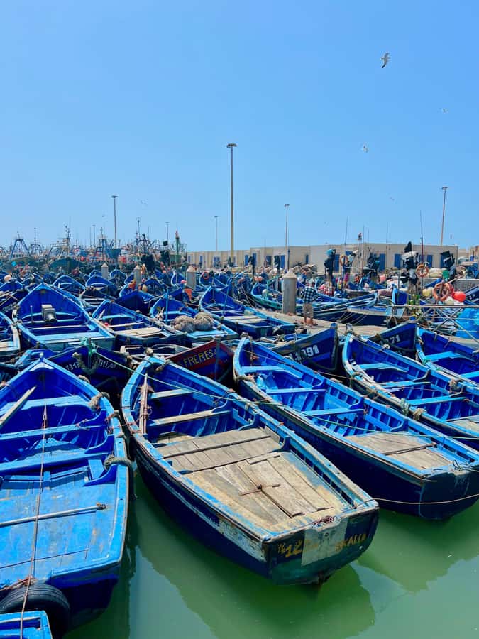 From Marrakech: Essaouira Coastal City Day Trip - Who should book this day trip?