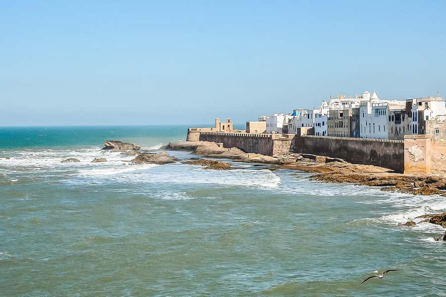 From Marrakech: Essaouira Day Tour with Optional Activities - Optional quad biking, camel, and horse rides