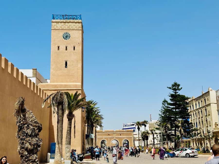 From Marrakech: Essaouira day Trip with camel, horse & quad - Why Essaouira makes sense as a day trip