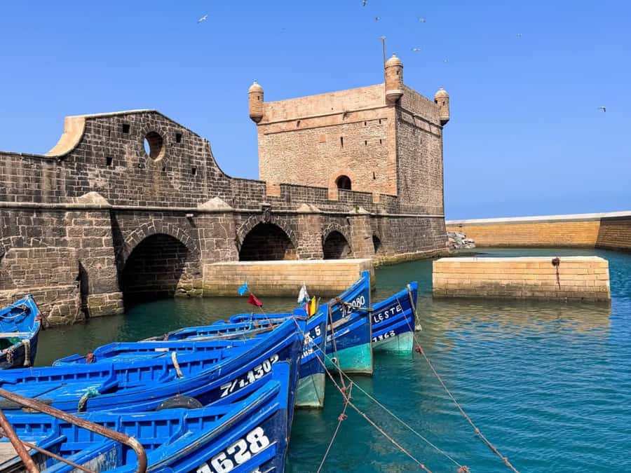 From Marrakech: Essaouira Full day trip, beach and History - The Road from Marrakech and the Argan Oil Stop