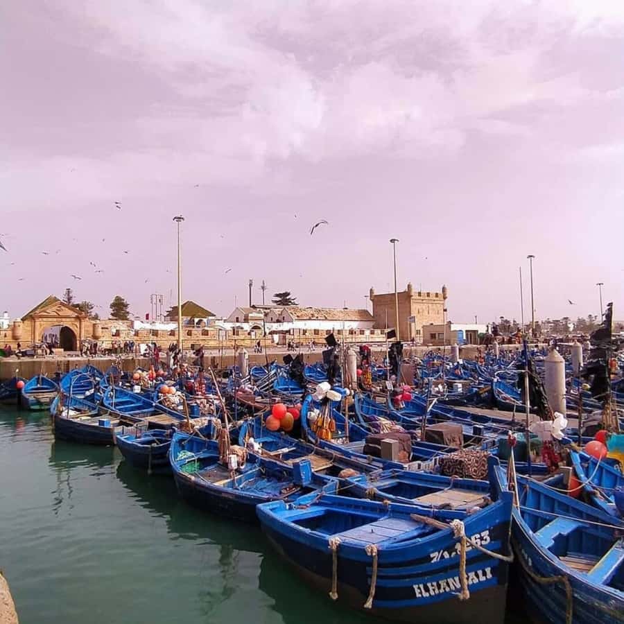 From Marrakech: Essaouira Full day trip, beach and History - Beach Time and the Case for a Slower Afternoon