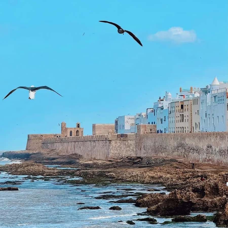 From Marrakech: Essaouira Full day trip, beach and History - Who Should Book This Essaouira Day Trip?