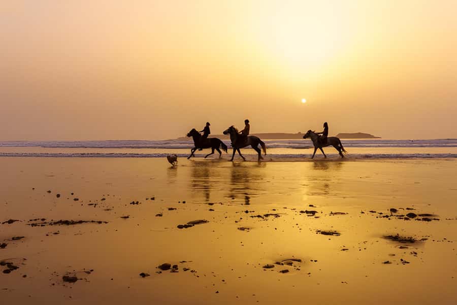 From Marrakech: Essaouira Full-Day Trip with Activities - Camel, horse, and quad rides are optional