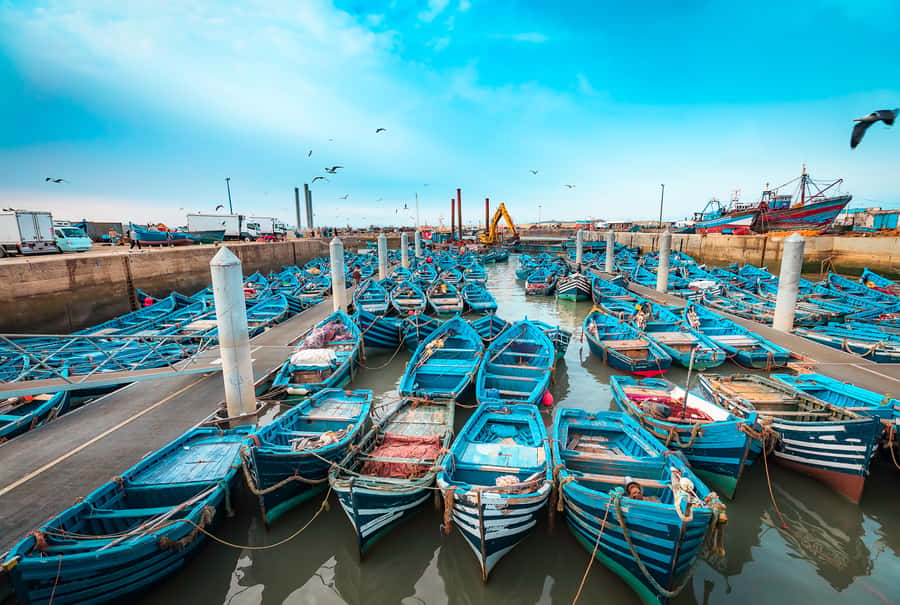 From Marrakech: Essaouira Private Full-Day Trip - Transport, timing, and the value of $120