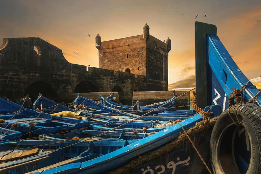 From Marrakech: Essaouira Private Full-Day Trip - Who should book this Essaouira day trip?