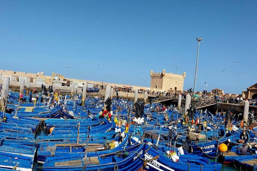 From Marrakech: Essaouira Private Full-Day Trip - The morning road from Marrakech to the Atlantic