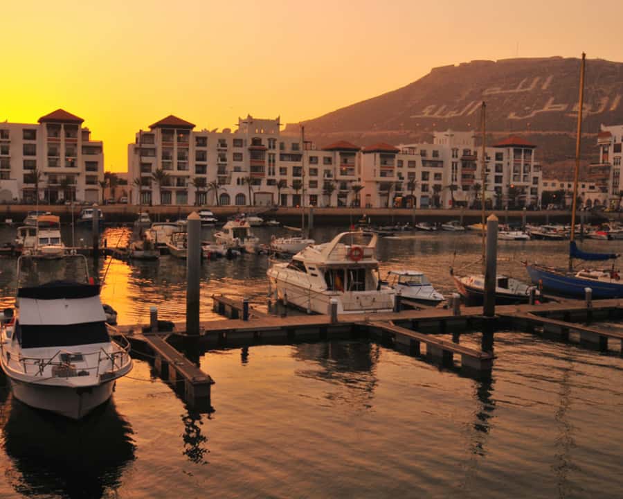 From Marrakech: Full-Day Trip to Agadir - Crocoparc: the day’s surprise highlight