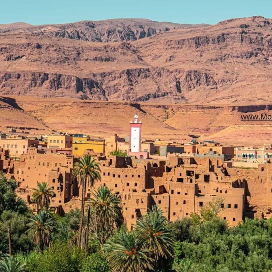 From Marrakech: Ouarzazate & Ait Benhaddou Guided Day Trip - Key Points at a Glance