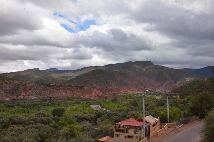 From Marrakech: Ourika Valley Day Trip with Lunch - A flexible day with strong local guides