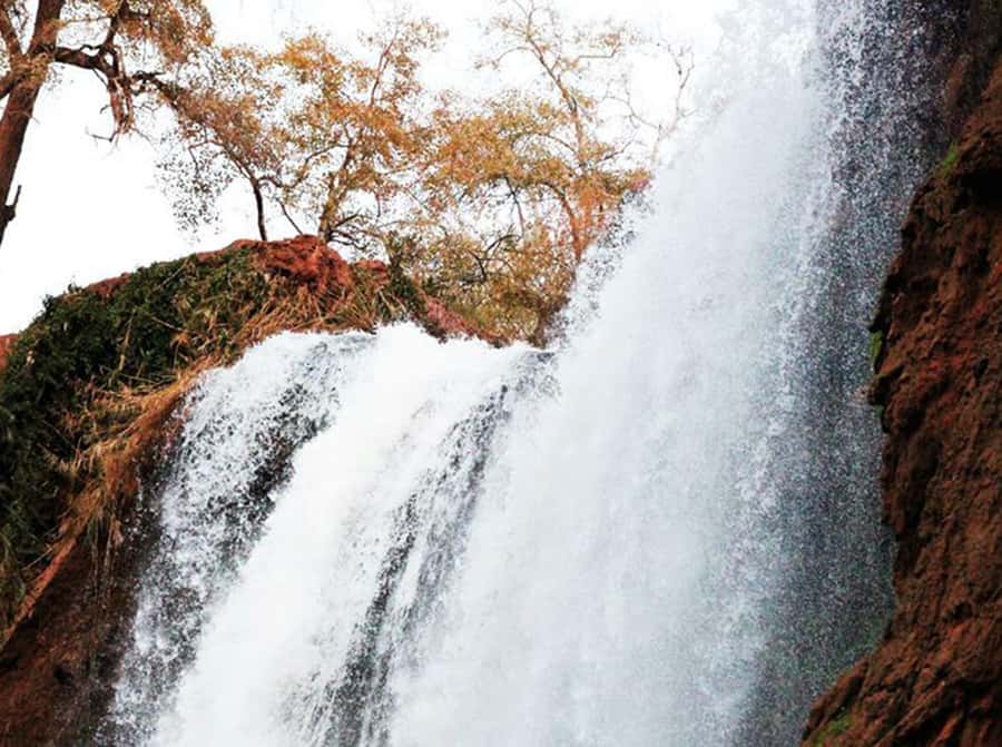From Marrakech: Private Ouzoud Falls & Boat Ride Day Trip - What the $95 price really buys you