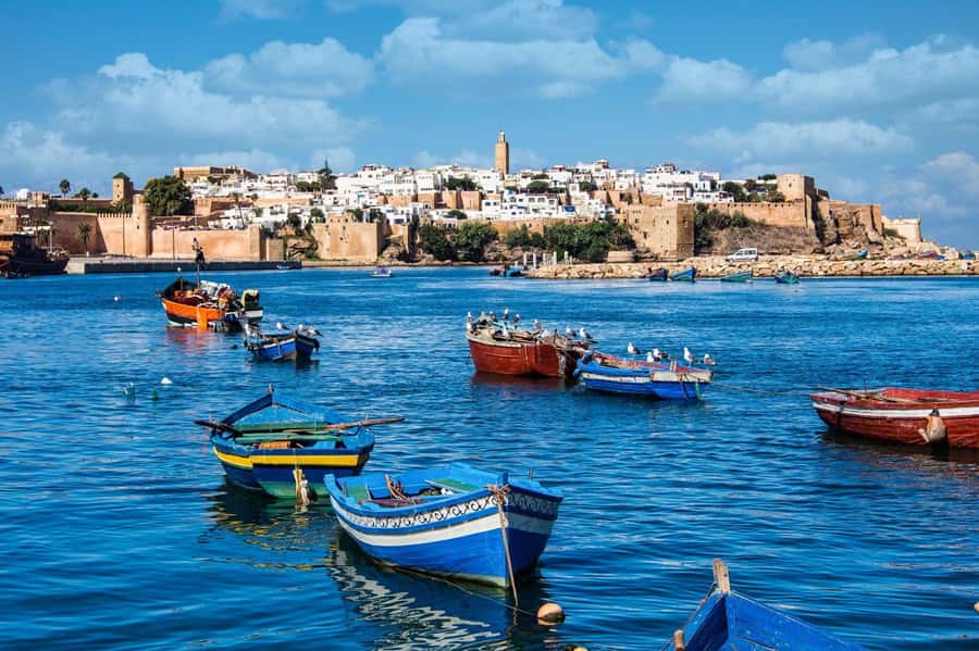 From Marrakech: Small Group To Essaouira & Medina Day Trip - Key points at a glance