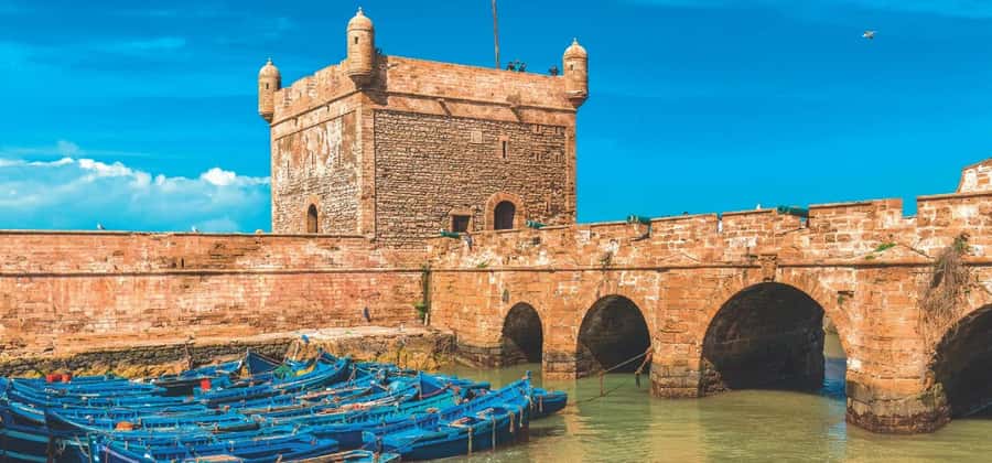 From Marrakech: Small Group To Essaouira & Medina Day Trip - Thuya wood workshops and small-scale craft