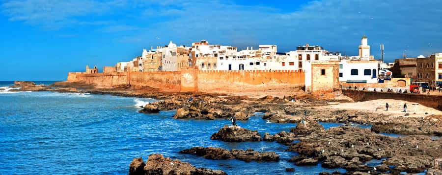 From Marrakech: Small Group To Essaouira & Medina Day Trip - The argan oil cooperative stop
