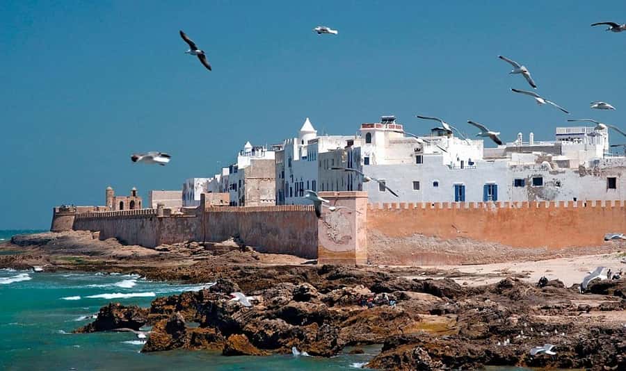 From Marrakech: Small Group to Essaouira & Sekkala Day Trip - Beach Time and Independent Wandering